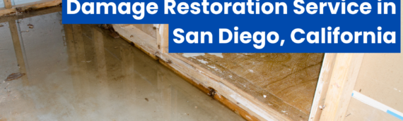 Discover the Best Top Rated Water Damage Restoration Service in San Diego, California